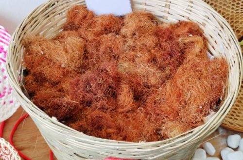 Dried Corn Silk